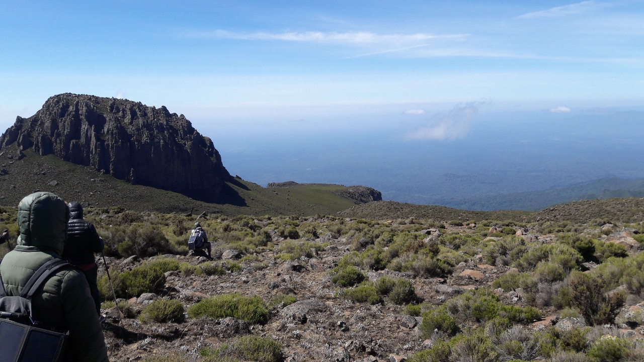 Why All the Way Up? Population Networks and Connectivity in High Altitudes