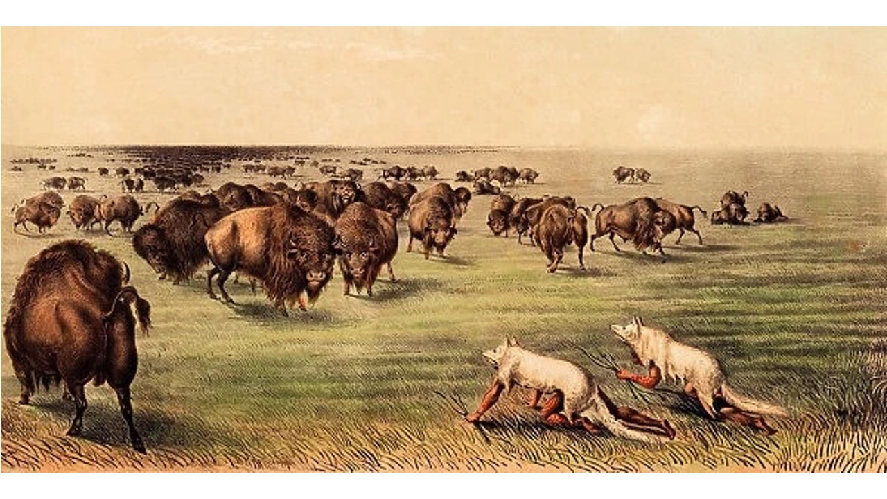 Stone Age clothing reveals human-animal relationships