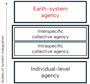 The image show the different scales of system integration for the Earth-system agency
